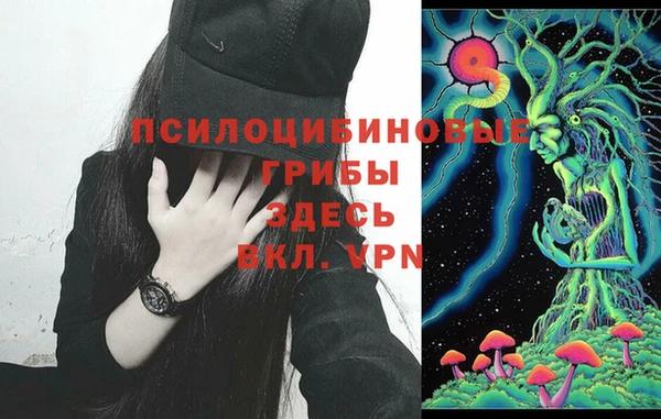 кокс Армянск