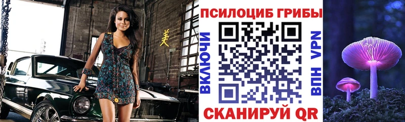 Псилоцибиновые грибы мицелий  Чернушка 