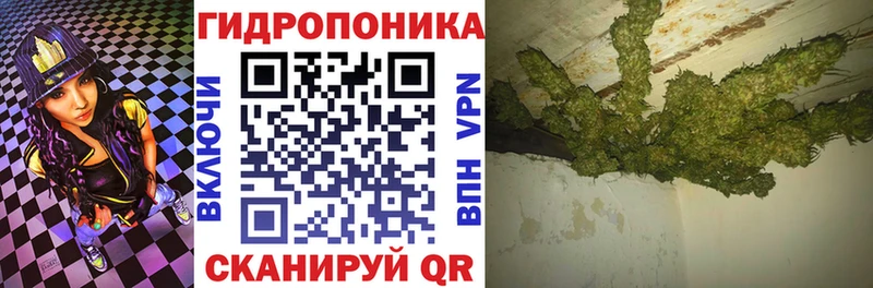 Конопля индика Чернушка